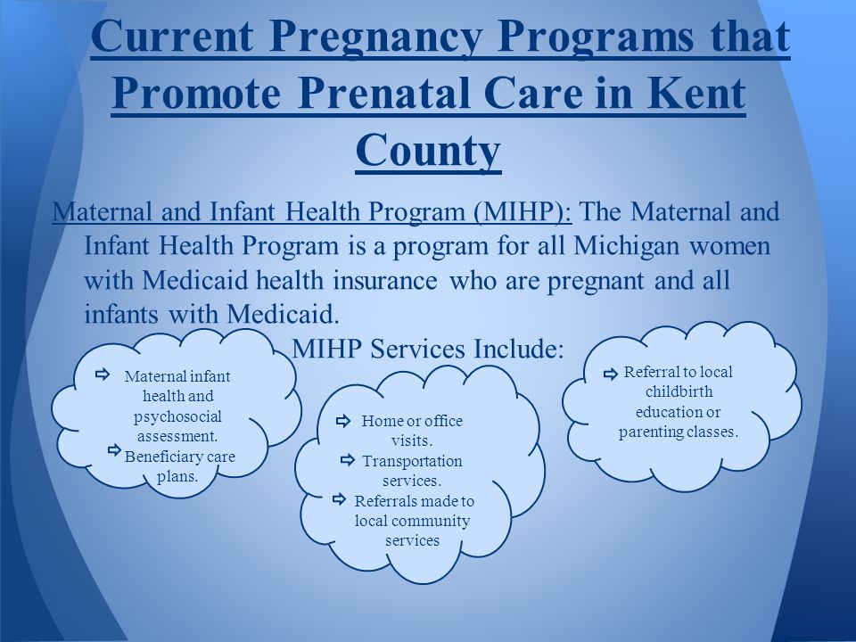 Antepartum maternity support services essay